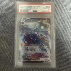 こくばバドレックスVMAX PSA10