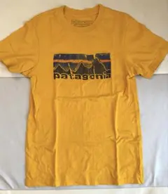 【最終値引き　正規品】patagonia メンズ Tシャツ XS スリムフィット