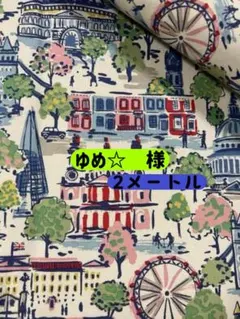 3ෆ˚*【1m】キャスキッドソン・シーチング生地(ロンドンビュー)