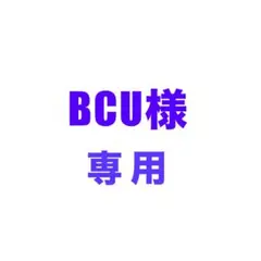 BCU様専用ご依頼品