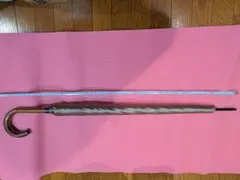 Item thumbnail for item 133c4ca5-3ac6-406f-bf44-c0ea1321e83d