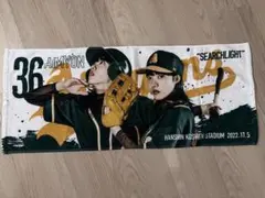 【新品未使用】あいみょんサーチライトツアーグッズセット（ペンライトのみ一度使用） あいみょん 甲子園サーチライト ペンライト - メルカリ