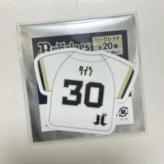 オリックスバファローズ 渡部遼人 ユニフォーム ニックネーム ハル o xl オリックス☆渡部遼人選手☆ニックネームユニフォーム柄ステッカー