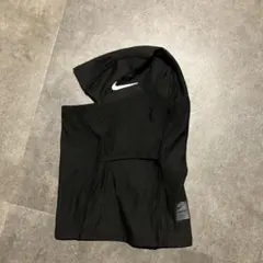 Item thumbnail for item 76d10a92-f58f-458d-b0e3-206b37324b1e