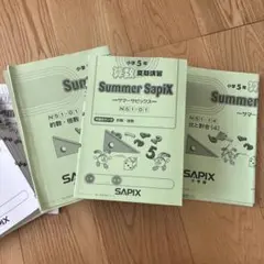 2026年最新】sapix 3年生 夏期講習の人気アイテム - メルカリ