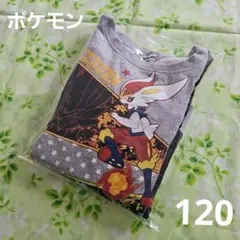 ポケモン　トレーナー　裏起毛