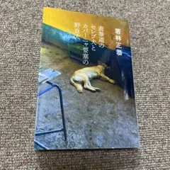 表参道のセレブ犬とカバーニャ要塞の野良犬