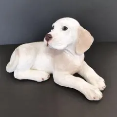 Item thumbnail for item 30e42147-faa5-47a8-9d94-237ac4ab0746