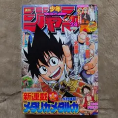 週刊少年ジャンプ 2010-24号