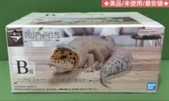 이치방쿠지 爬虫類&両生類 B賞 ヒョウモントカゲモドキ 피규어 상태좋음 미사용