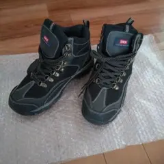 Item thumbnail for item 2c873599-5dd4-4e73-bba6-380c77e39ae7