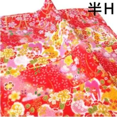 半H