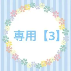 専用【3】