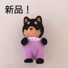 Item thumbnail for item a6c8fc98-f3df-42c0-beb1-f1b93689ce9a