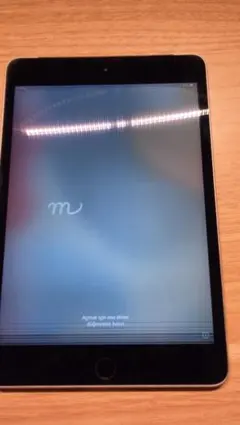 Apple iPad mini 第四世代本体 グレー