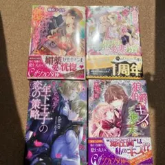 一読　ティーンズラブ小説 4冊セット