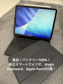 Apple iPad Pro 11インチ セルラー 1TB M1モデル ペン付き - メルカリ