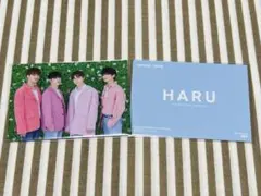 SEVENTEEN ヒポチ HARU ユニット トレカ NO.4