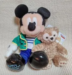 TDS ミッキー&ダッフィー ワンダフル ヴォヤッジ ぬいぐるみバッジ ぬいば