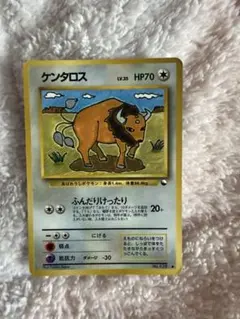ポケモンカード 旧裏面 ケンタロス