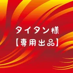 タイタン プロフィール必読様 リクエスト 2点 まとめ商品