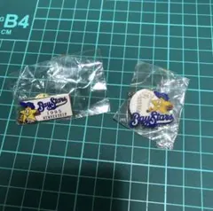 《新品未使用品》ベイスターズ友の会ピンバッジ2個セット