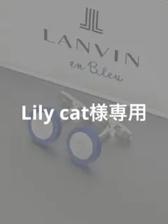 Item thumbnail for item 97e5ed0f-c817-4b1c-a903-6e29d4ceecdf