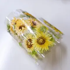 【M007】 海外マステ(PETテープ) 1ループ約100cm おすそ分け