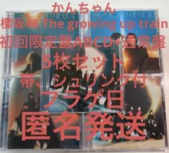 櫻坂46 14th The growing up train 初回ABCD通常f