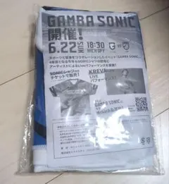 ガンバ大阪 モフレム抱つきタオル