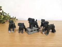 【ミニブロック付】ミニチュアシュナウザー 5匹