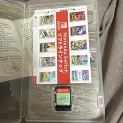 あつまれ どうぶつの森 Nintendo Switch