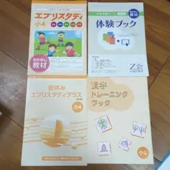 Z会　エブリスタディ　アドバンスト　国語、社会　まとめ売り 61kpobqPXXL._AC_UF350,