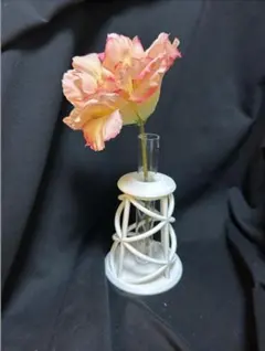 Item thumbnail for item 0cf21a76-a535-4838-a551-250cbb0bf4cf