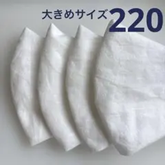 220ハンドメイドマスク＊大人用大きめサイズ4枚のサムネイル