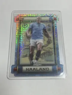 記念品　ハーツクライ ユートピア 競馬　dubai worldcup 2006 ドバイワールドカップ 優勝記念 ハーツクライ - メルカリ