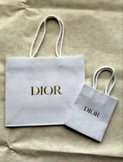 Dior ショップ袋 大小セット