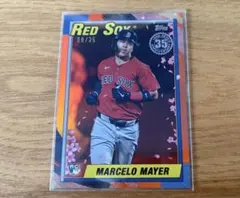 Item thumbnail for item 3ec2e9db-254c-4ad3-8717-b1f375019117