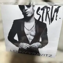 2026年最新】lenny kravitz strutの人気アイテム - メルカリ