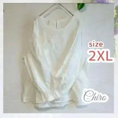 トップス　刺繍　無地　ブラウス　体型カバー　白　ラウンドネック　チュニック　長袖