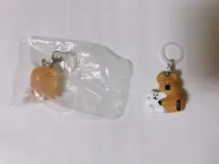 Item thumbnail for item 6ca657fc-8106-46c6-836e-9b3119c25372