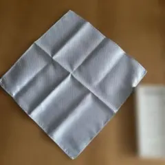 Item thumbnail for item 56a99dcc-63d4-4de7-8d45-3da050aa57df