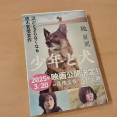 少年と犬
