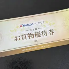 ヤマダホールディングス　株主優待　5000円(500円×10枚)