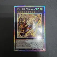 2025年最新】遊戯王 デュエルモンスターズexの人気アイテム