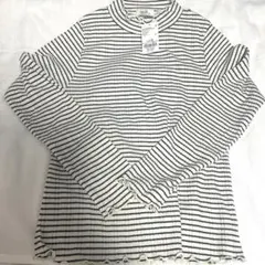 アースミュージックエコロジー