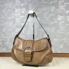 Salvatore Ferragamo フェラガモ AU-21-2421 型押し - メルカリ