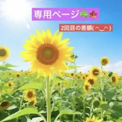 お客様専用ページ❣️