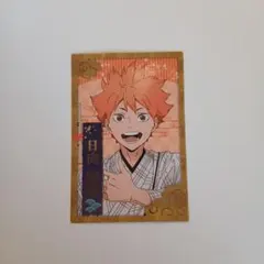 ハイキュー!! 乗車券風カード 日向