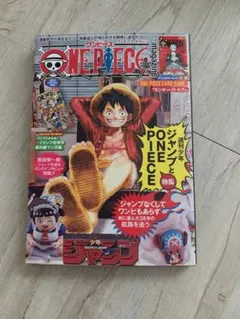 ワンピース マガジン 20号 特典カード付き